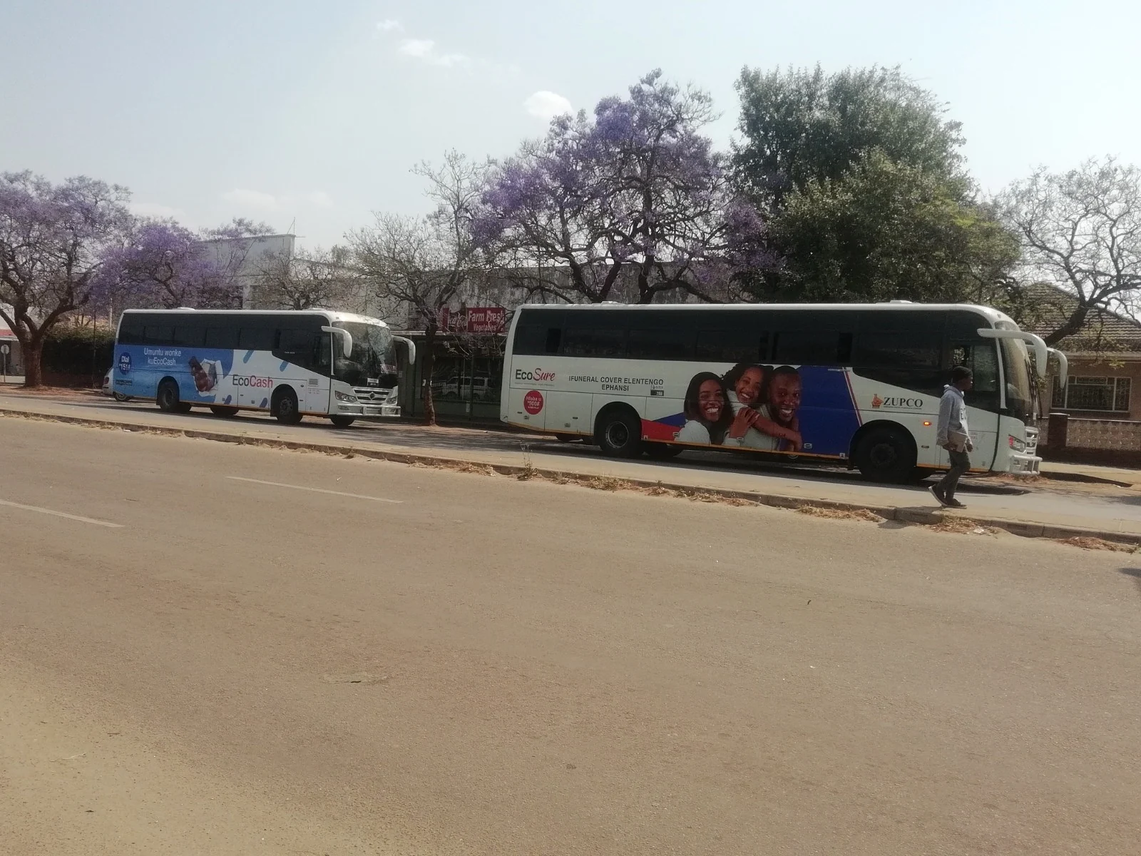 Two buses with EcoCash and EcoSure side branding parked on a Bulawayo street